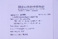 尖葉鐵角蕨藏品圖，第2張