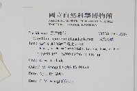 日本金粉蕨藏品圖，第2張