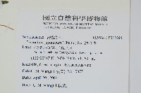 海金沙藏品圖，第2張