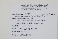 全緣貫眾蕨藏品圖，第2張