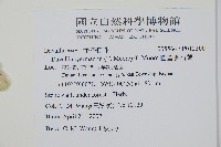 圓蓋陰石蕨藏品圖，第5張