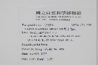 野小毛蕨藏品圖，第2張