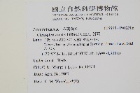 蒿蕨藏品圖，第2張