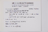 鱗柄鐵角蕨藏品圖，第2張