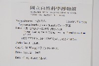 瓦葦藏品圖，第2張