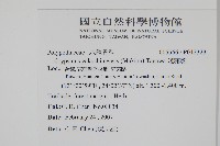 姬茀蕨藏品圖，第2張