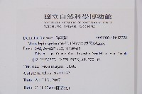 熱帶鱗蓋蕨藏品圖，第7張