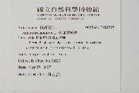 鞭葉鐵線蕨藏品圖，第2張