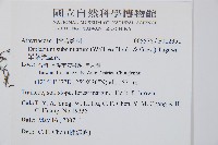 單葉雙蓋蕨藏品圖，第2張