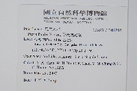 傅氏鳳尾蕨藏品圖，第2張