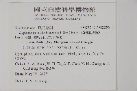 南洋山蘇花藏品圖，第2張