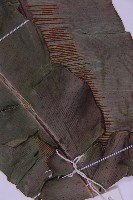 南洋山蘇花藏品圖，第5張