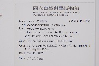 烏蕨藏品圖，第2張