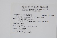 毛蕨藏品圖，第2張