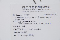 臺灣狗脊蕨藏品圖，第2張