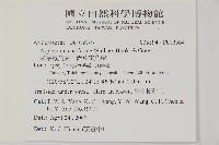 劍葉鐵角蕨、箭葉鐵角蕨藏品圖，第2張