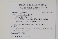 書帶蕨藏品圖，第2張