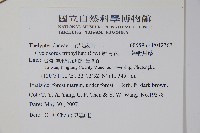 新月蕨、三葉新月蕨藏品圖，第2張