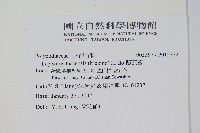 擬瓦葦藏品圖，第2張