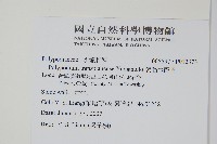 疏毛水龍骨藏品圖，第2張