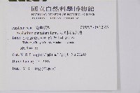 大黑柄鐵角蕨藏品圖，第5張