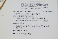 倒葉瘤足蕨藏品圖，第2張