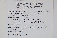 翅軸假金星蕨、短柄卵果蕨藏品圖，第2張