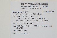 陵齒蕨、鱗始蕨藏品圖，第2張