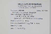 細葉碎米蕨藏品圖，第2張