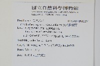 長柄粉背蕨藏品圖，第2張