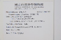 長葉鱗毛蕨藏品圖，第2張