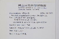 鞭葉耳蕨藏品圖，第2張