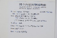 南海鱗毛蕨藏品圖，第2張