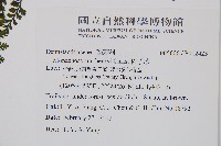 稀子蕨藏品圖，第7張