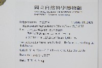 波氏星蕨藏品圖，第2張