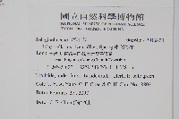 密葉卷柏藏品圖，第2張