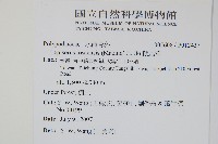 粵瓦葦藏品圖，第2張