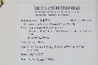 大星蕨藏品圖，第2張