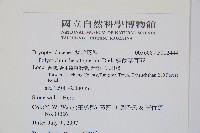 韓氏耳蕨藏品圖，第2張
