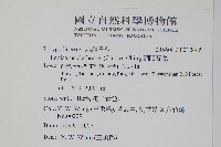 骨牌蕨藏品圖，第2張