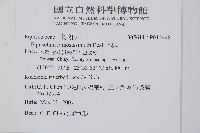 木賊藏品圖，第2張