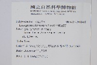 台灣劍蕨藏品圖，第2張