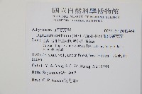 細柄雙蓋蕨藏品圖，第2張