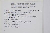 長葉鱗毛蕨藏品圖，第2張