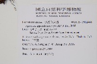 刺蕨藏品圖，第2張