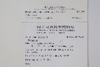 腸蕨藏品圖，第2張