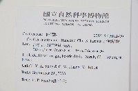 台灣樹蕨藏品圖，第2張