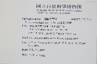 扇羽陰地蕨藏品圖，第2張