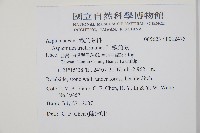 鐵角蕨藏品圖，第2張