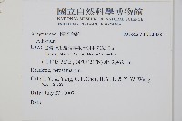 亞德氏蹄蓋蕨、假冷蕨藏品圖，第2張